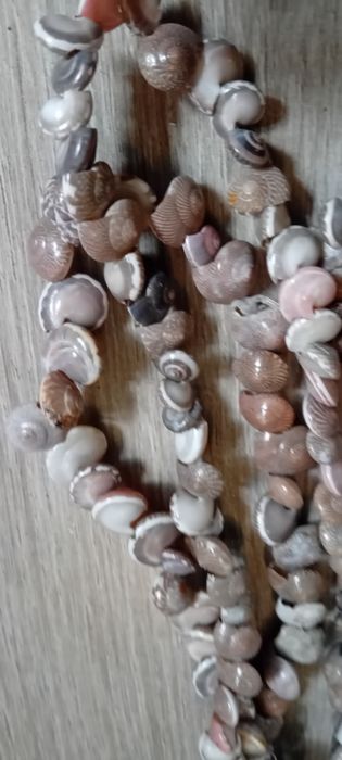 Korale z muszelek boohoo x2szt.