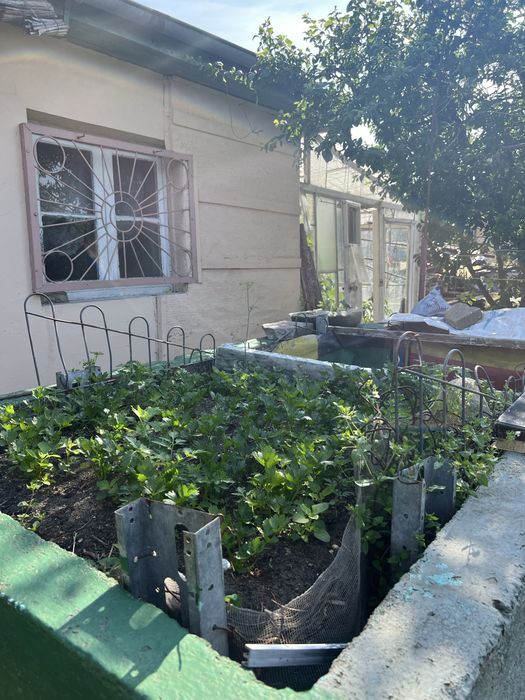 Działka ROD Pogodny ul. Taczaka 489 m² - Widok 4