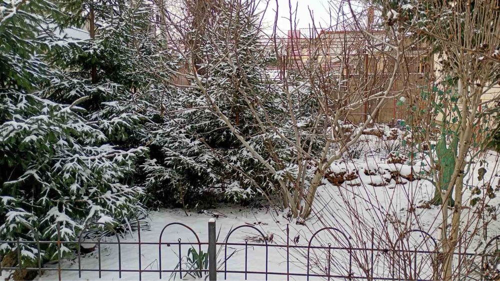 Продаётся домовладение. Царское село