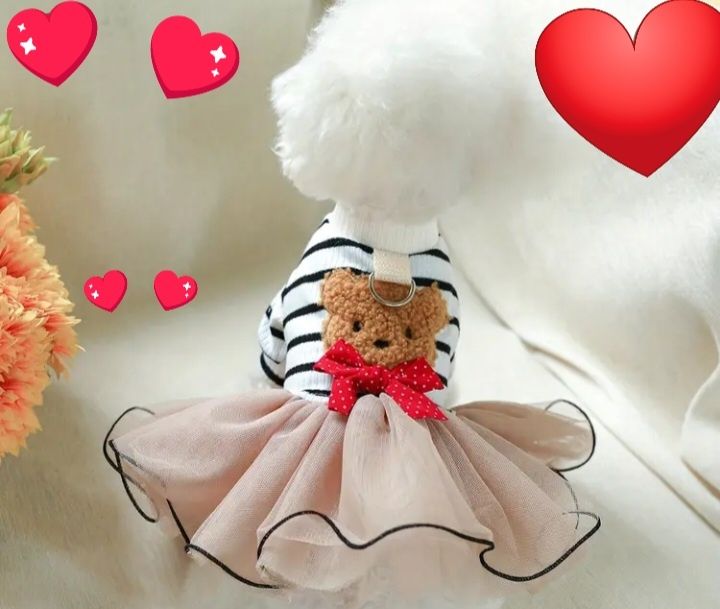 Ubranko dla księżniczki nowe