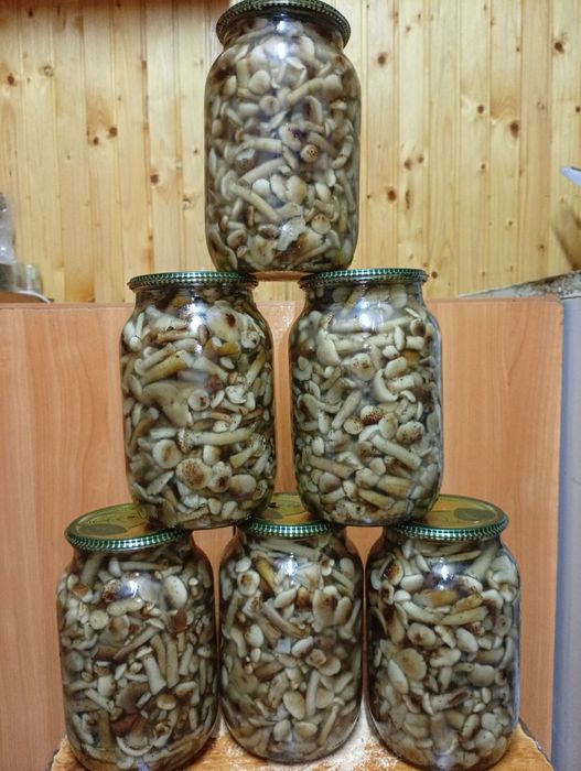 Опеньки мариновані