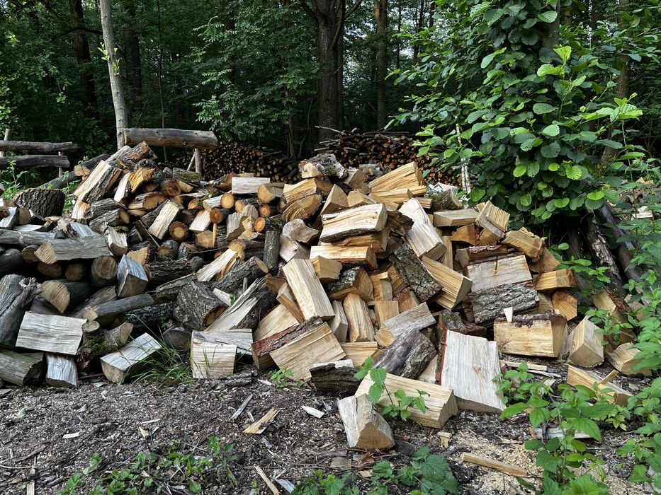 Drewno opałowe – dąb, grab, brzoza, sosna – transport GRATIS