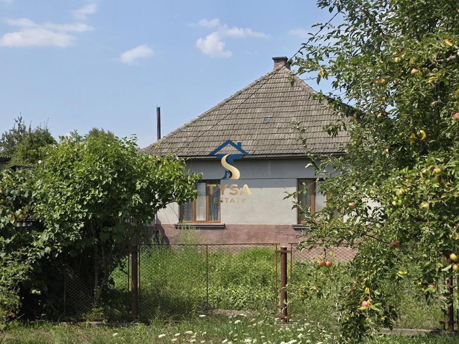 ЦІНА ЗНИЖЕНА! Будинок в Солотвині