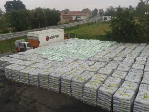 groszek 28mj Wrocław i okolice z dostawą