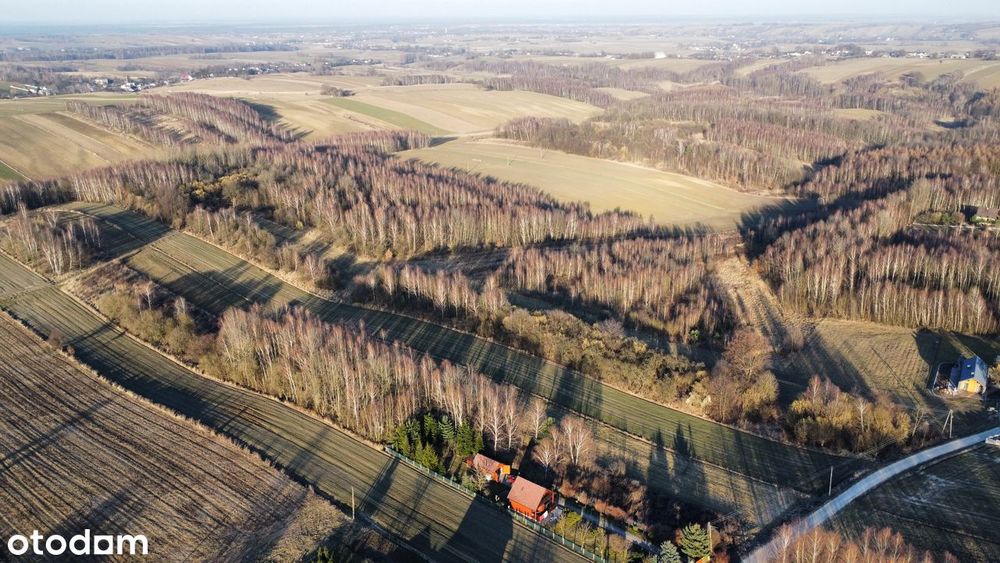 W ślepej uliczce! Widokowa! Piękny teren! Objęta MPZP! BUDOWLANA !!