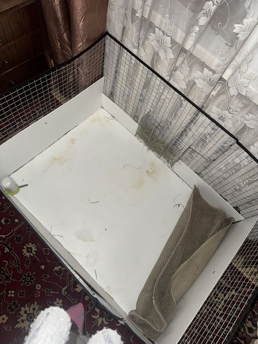 Вольер для морской свинки