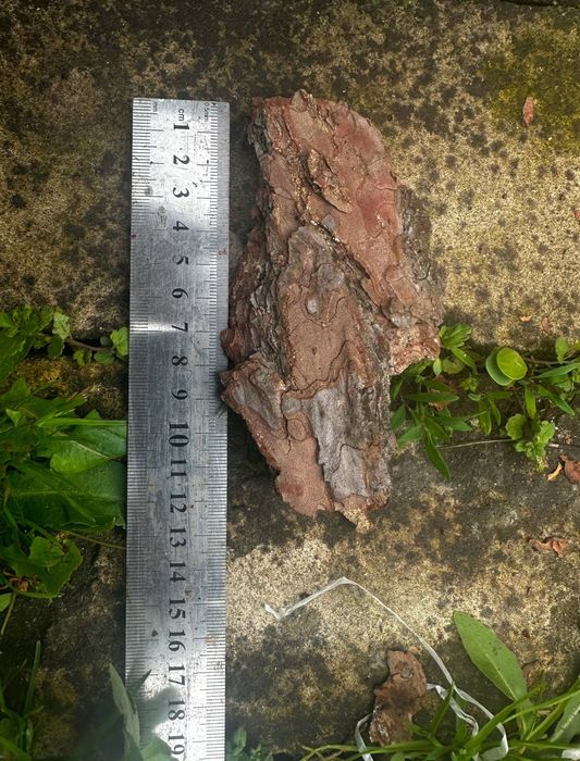 Кора фракція1 фракція2