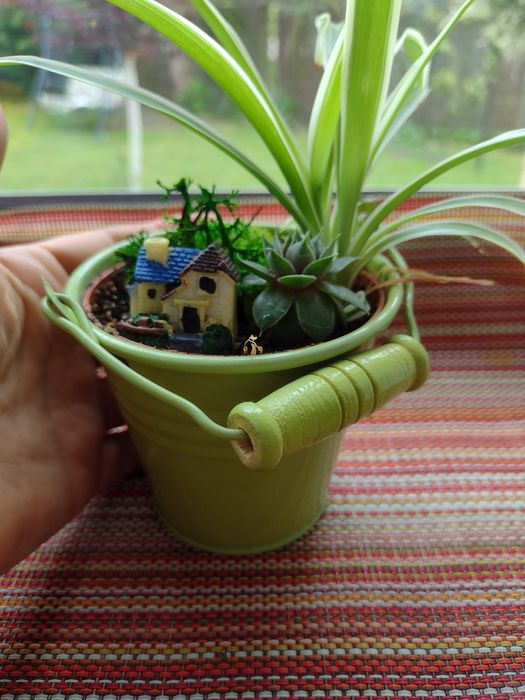 Квіткові композиції