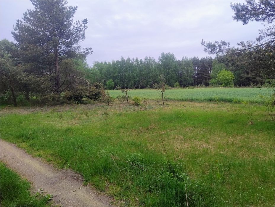 Sprzedam działki budowlane Wladyslawowo Nowe Miasto – pohled 6