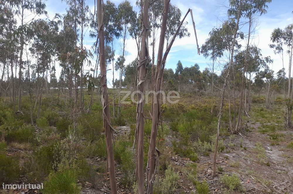 Terreno Rustico com 12580m2