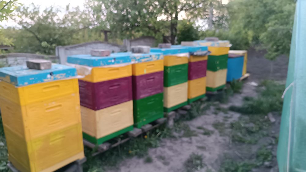 Продам свіжий мед з доставкою під під'їзд.