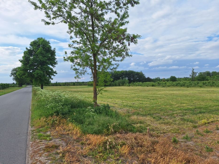 Działki budowlane