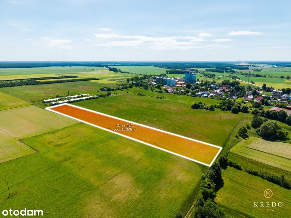 Działka budowlana 1,0036 ha | WZ | Duży potencjał inwest. | Koczała
