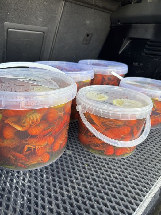 Раки,приготовлені,живі