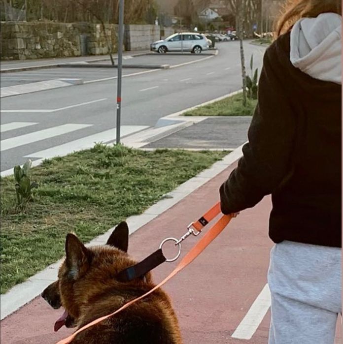 Pet sitting | cuidadora de animais