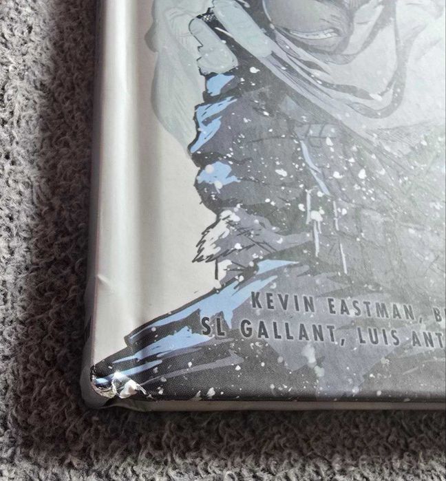 TMNT: The Last Ronin Lost Years: The Covers, Комікс, eng