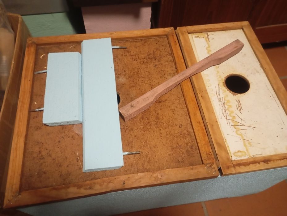 Colmeia criadeira lusitana