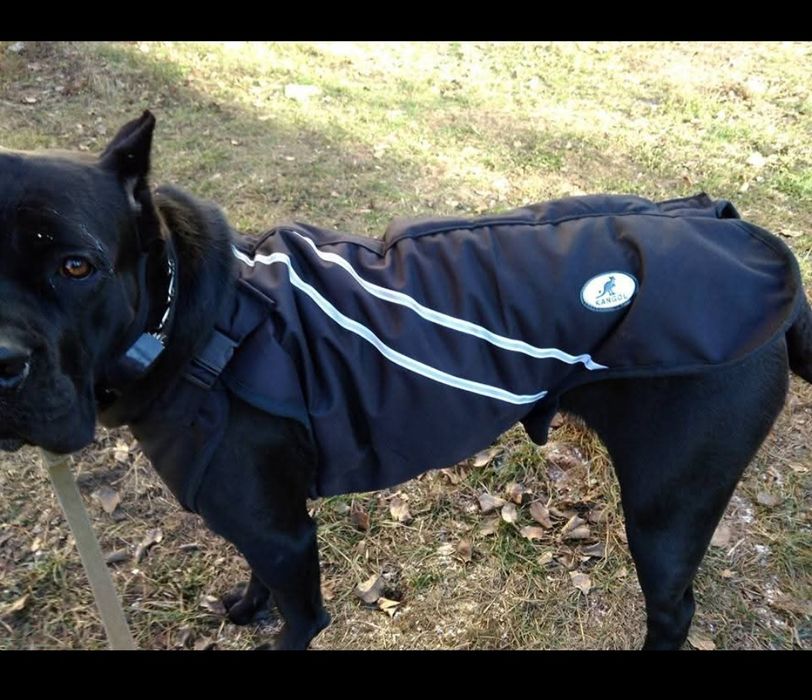 Попона для собак великого розміру