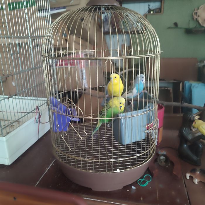 Клетка для птиц, грызунов