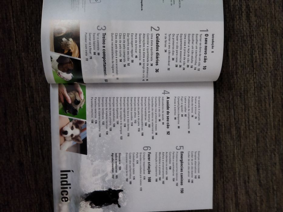 Livro manual do cão