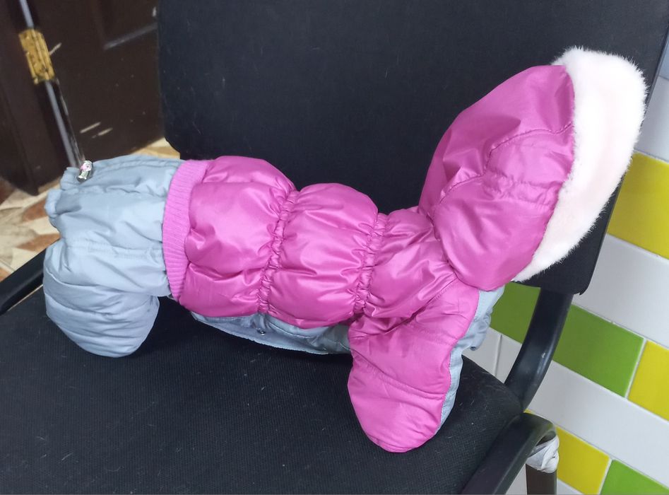 Одяг для вашої улюблениці