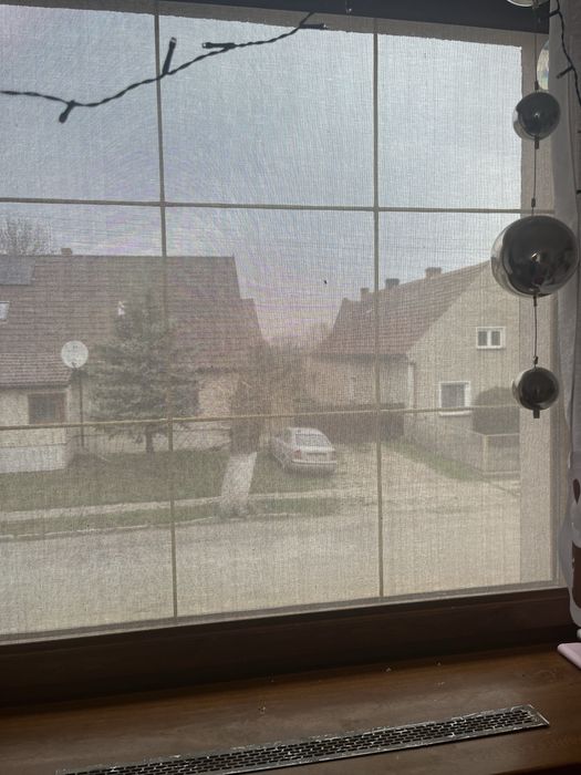 Rolety wewnetrzna zloty dąb