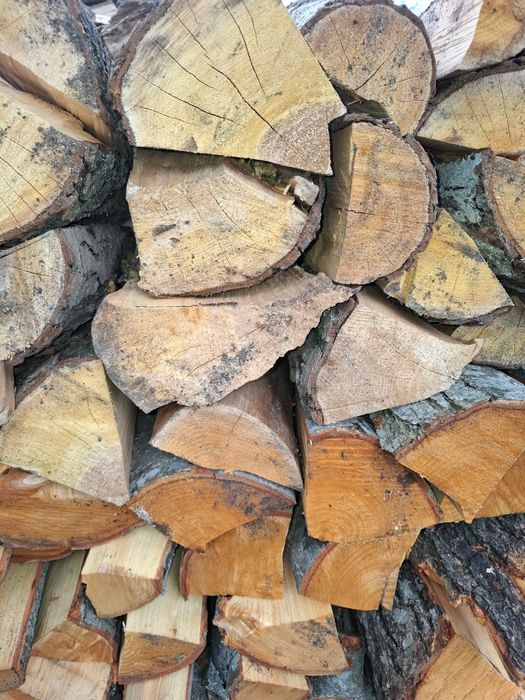 Drewno do wędzenia/ogniska