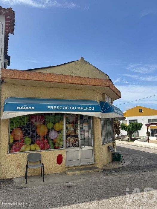 Loja / Estabelecimento Comercial em Malhou, Louriceira e Espinheiro de