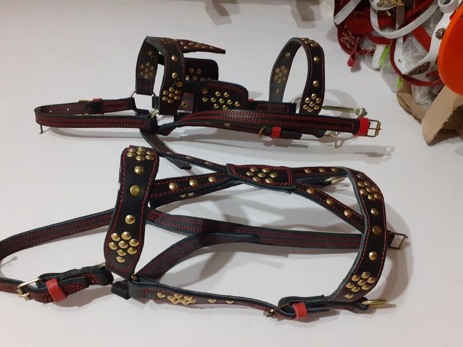 Выездные наголовник