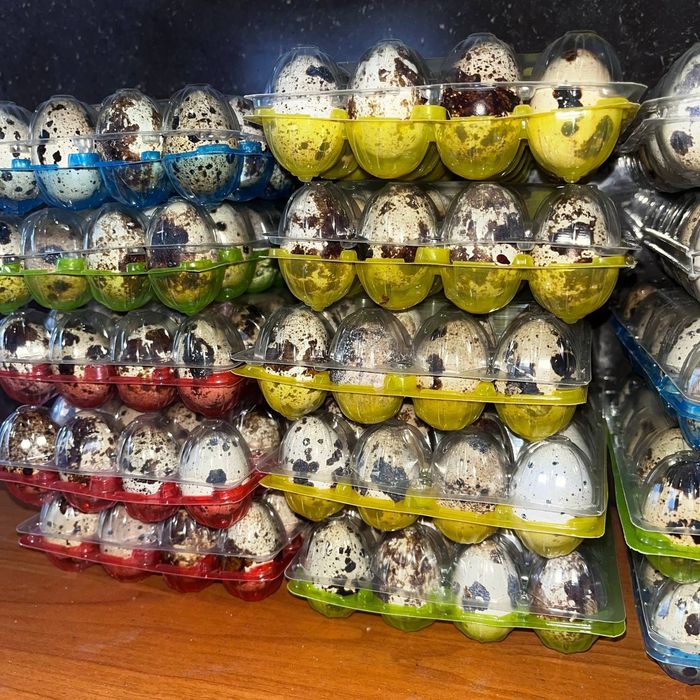 Перепела,тушки,яйцо