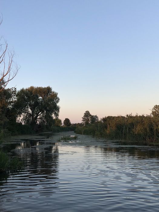 Будинок Остер 25 соток, без комісії