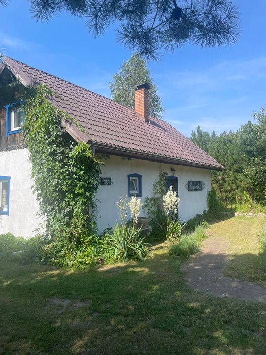 Dom – Radęcin - Widok 4