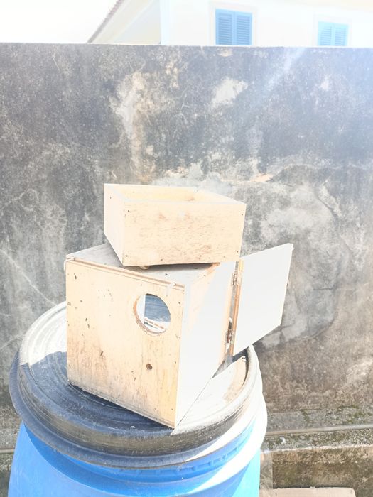 Ninhos para Piriquitos