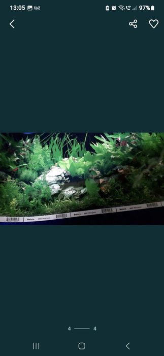 tło do akwarium terrarium