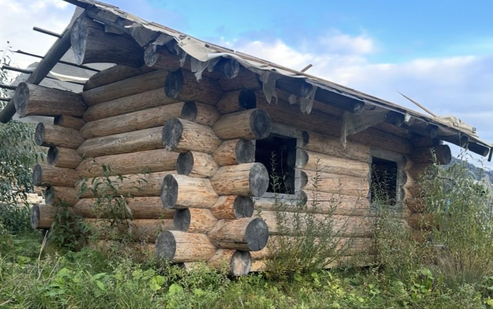 Будинок/банька з зрубу дикого 35-40 см колоди