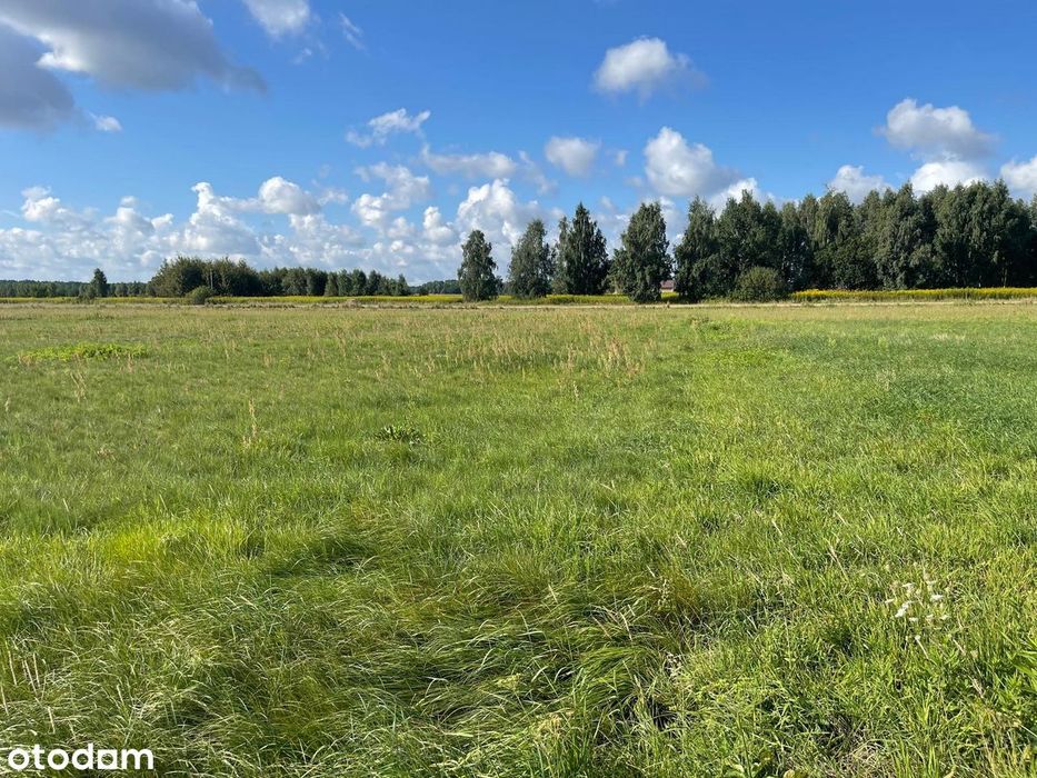 Budowlane - MPZP. Na nowo powstającym osiedlu. 8,2 km węzeł S17 Górzno - Widok 2