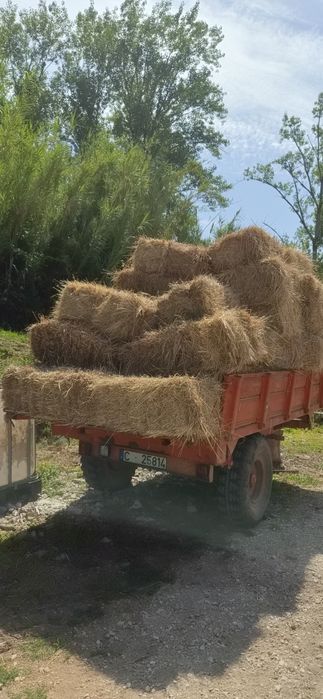 Fardos de feno boa qualidade