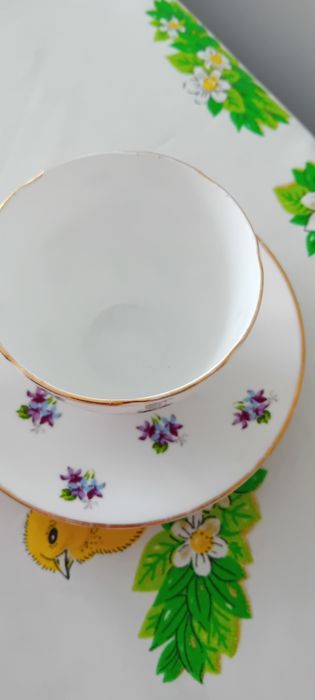 Angielska kostna porcelana filiżanka