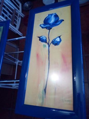 Conjunto de 5 Quadros Flores