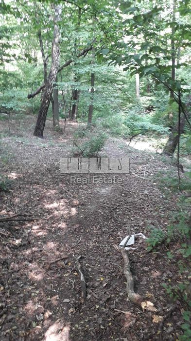 Продається земельна ділянка площею в Мархалівкі