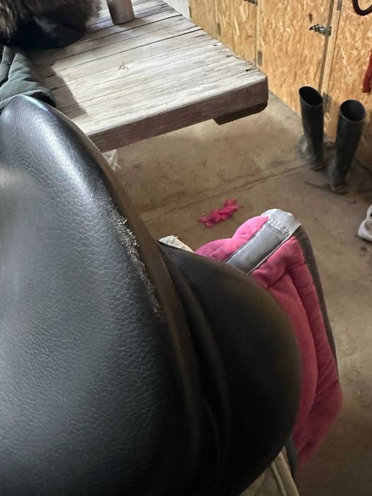 Siodło ujeżdżeniowe