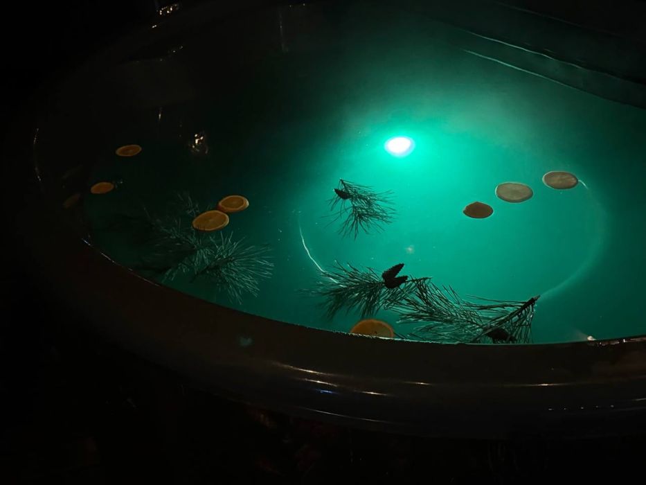 Баня Чан на дровах відпочинок кальян шампанське Хотів Круглик Ходосівк