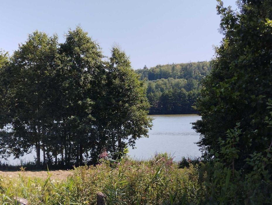 Domek na Kaszubach całoroczny