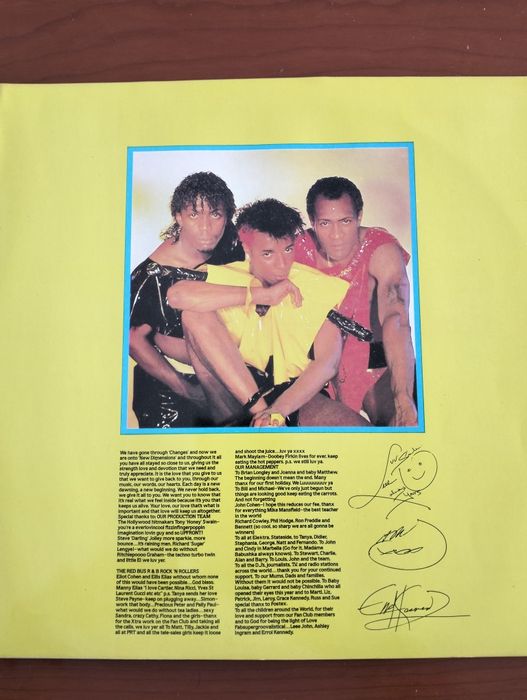 Disco de vinil LP Imagination