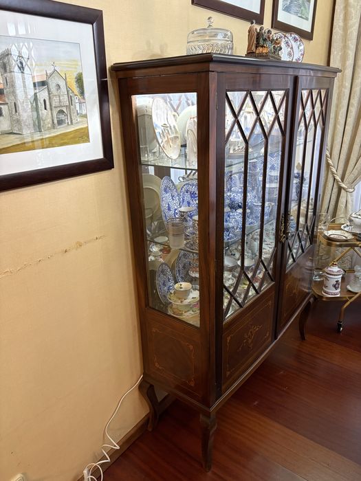 Vitrine Expositor Eletrificada