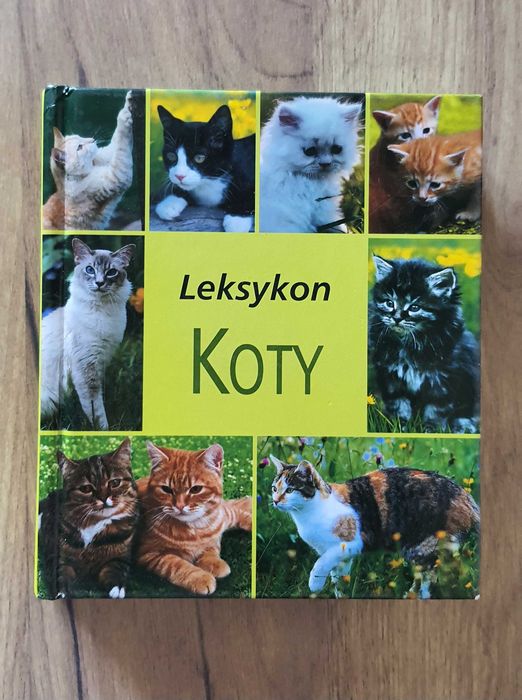 Książka Leksykon Koty