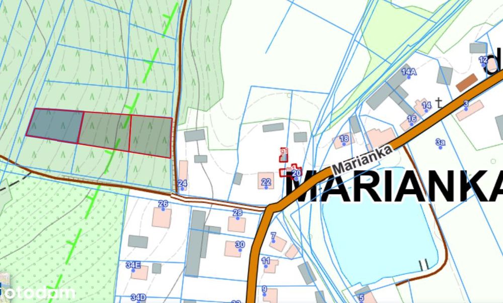 Zbuduj dom pod własnym lasem - 2,5 tys m2 na Jurze