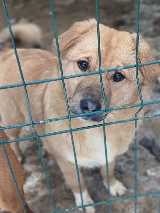 Дівчинка Тайра 7  місяців