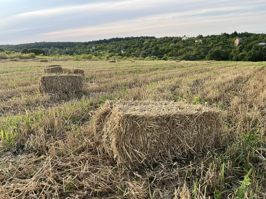 Солома тюки