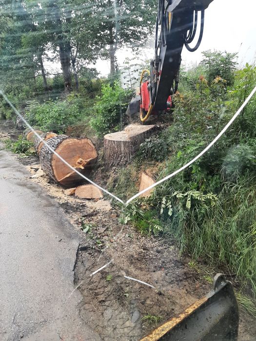 Usługi koparką, prace ziemne, rozbiórki, transport, kopanie stawów, czyszczenie brzegów oraz rowów melioracyjnych